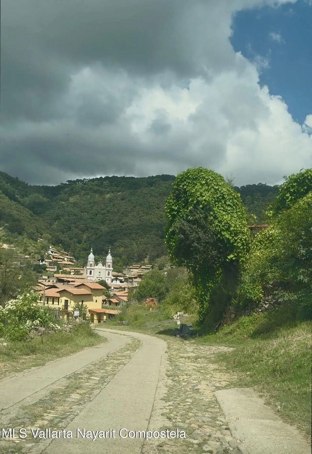 #8 Lote Navidad Cumbre Verde, Sierra Madre Jalisco
