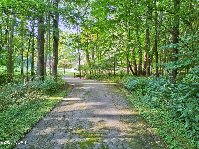 Photo of Listing #308018