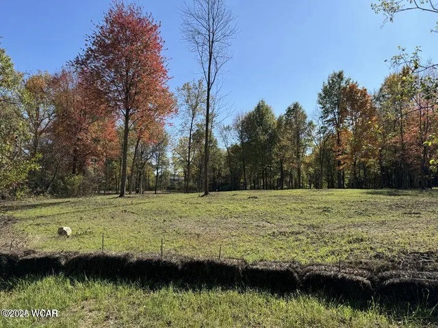 Photo of Listing #308104