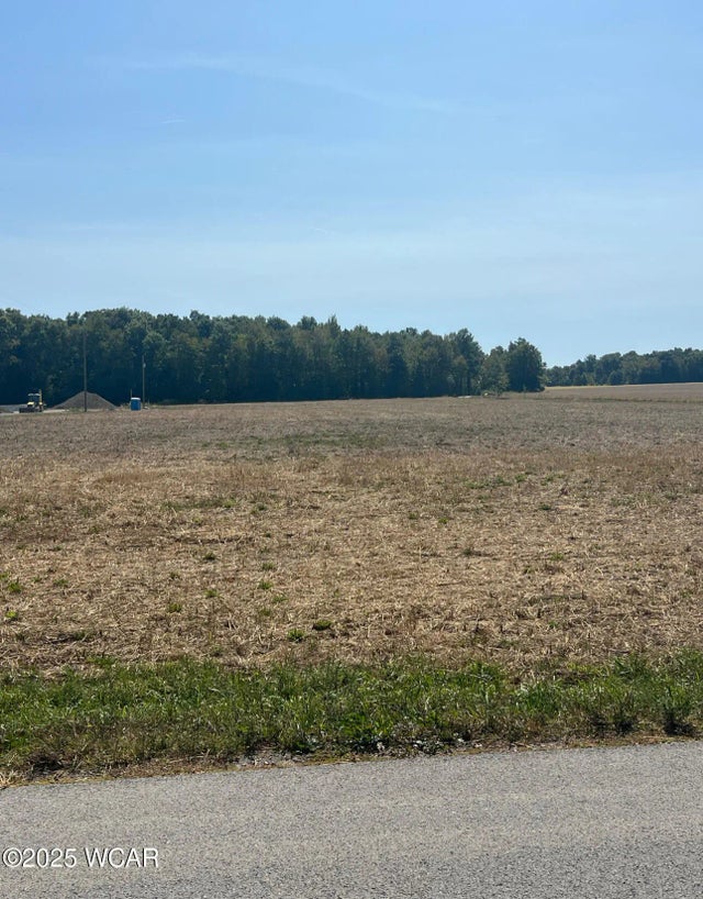 Photo of Listing #308206