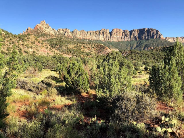 R-1308-i Juniper Road, Rockville