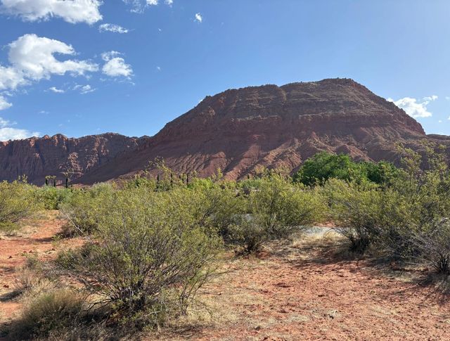 469 N Bur Sage Trail, Ivins