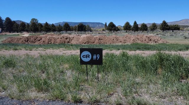 1.25 Acre Parcel #e-cwr-2-9, Enterprise