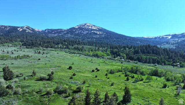 1200 S Lands Creek Rd E, Albion