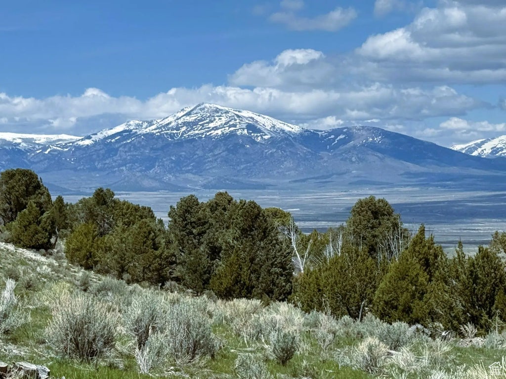 1595 E 3600 S, Malta