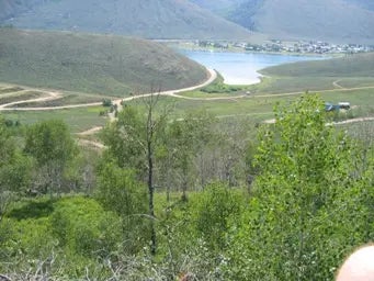 4 Aspen Cove Dr 4, Scofield