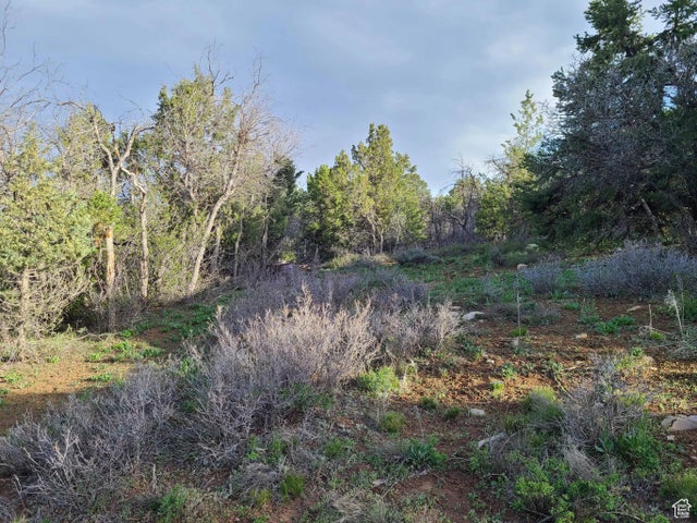 36250 N 10750 E, Indianola