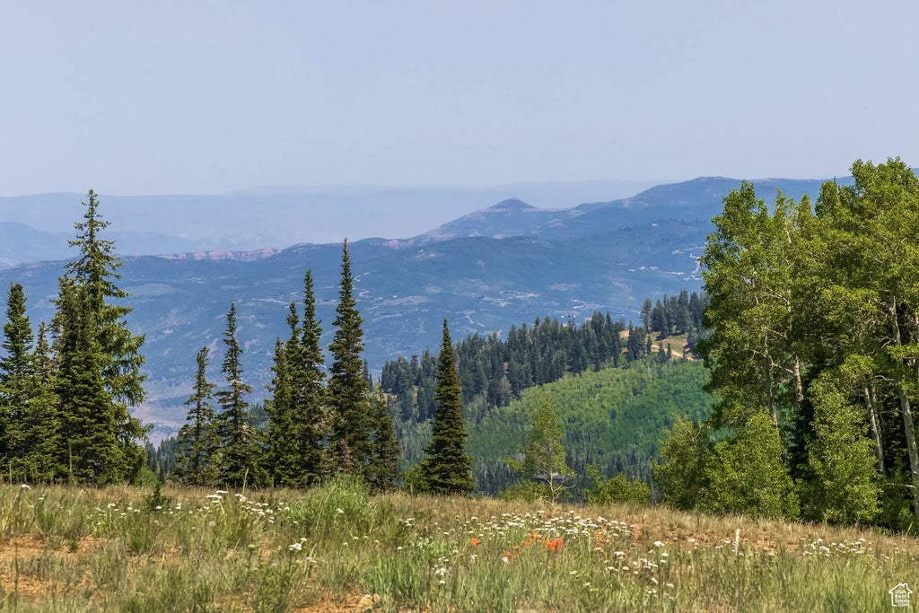 325 White Pine Canyon Rd 325, Park City