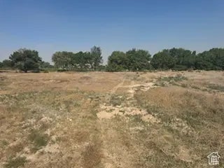 2308 E Highway 40, Naples