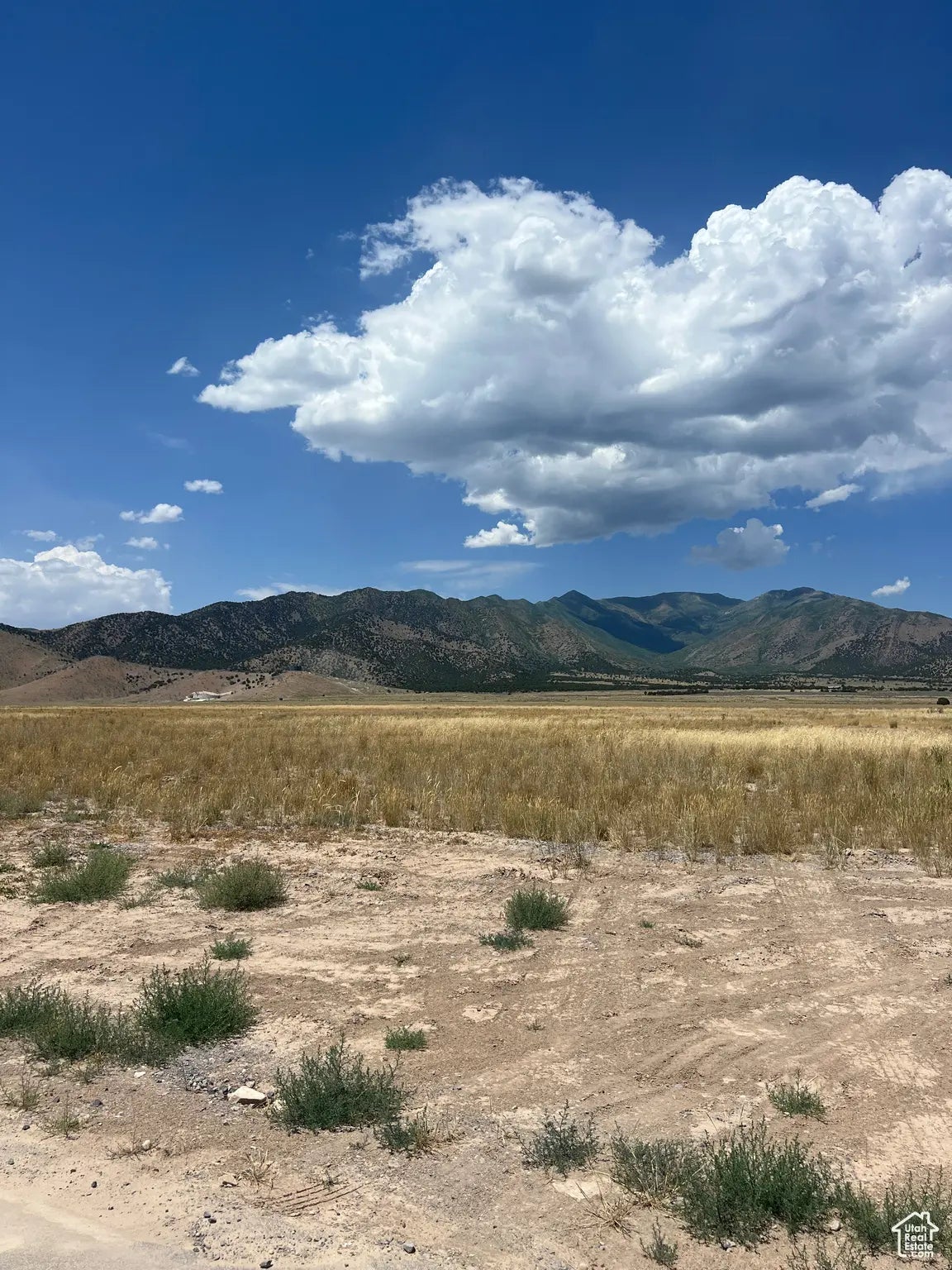 Photo of Listing #2095656