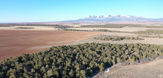 200 Cr 311, Monticello