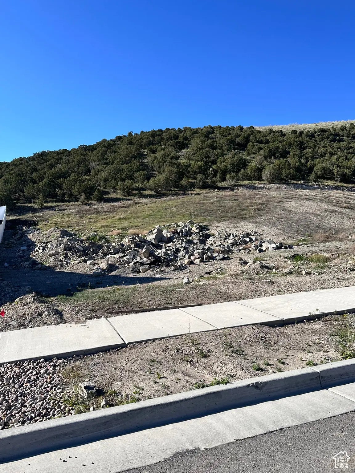 Photo of Listing #2105818