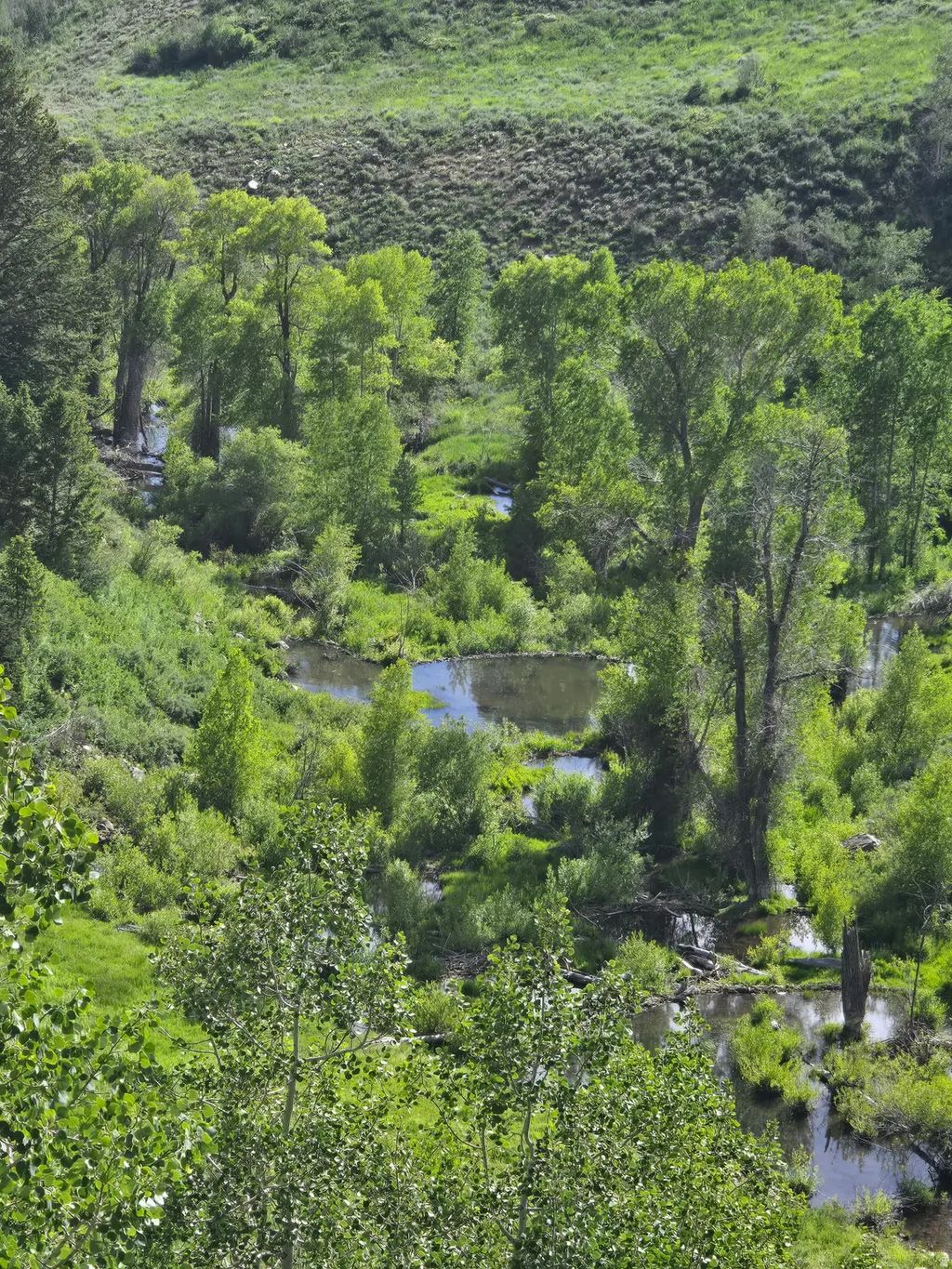 6621 N Middle Fork Dr 89, Huntsville