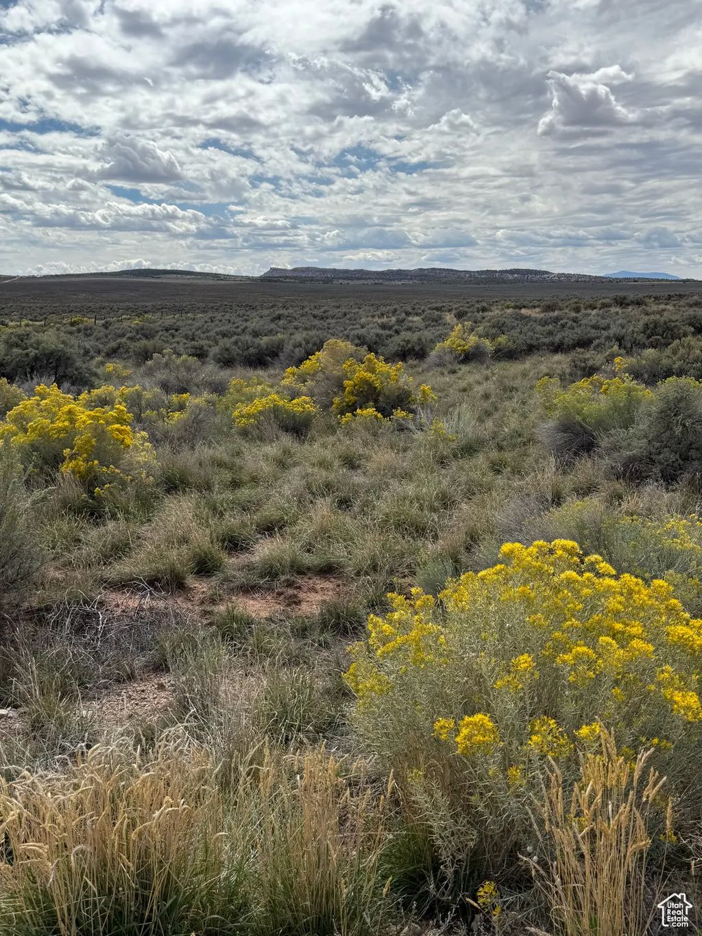 1, La Sal