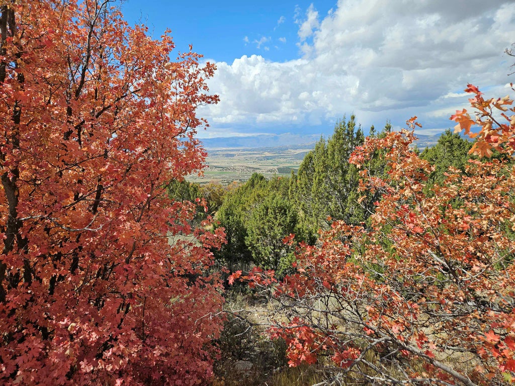 30 E Elk Springs Dr S 30, Fairview