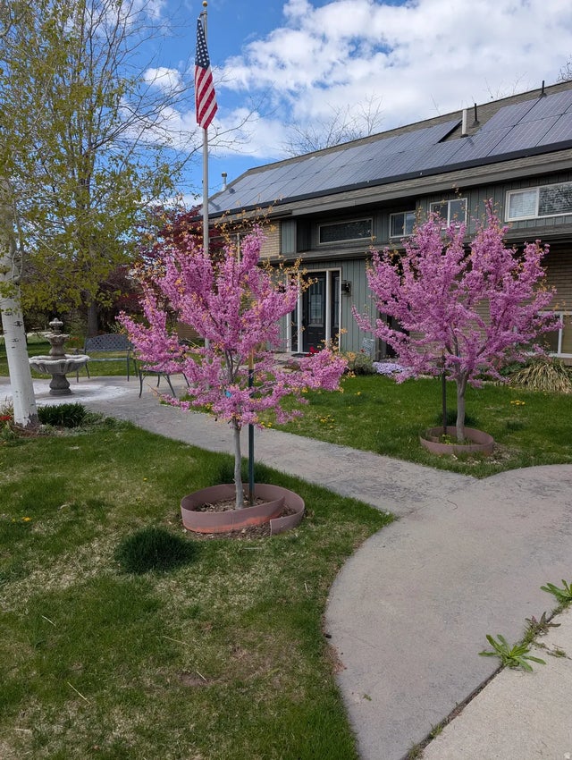 1515 E Gentile St, Layton