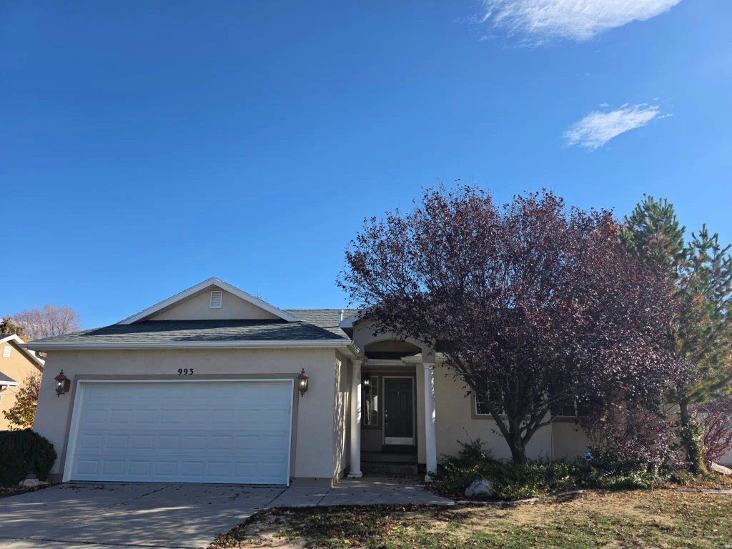 993 S 1660 E, Spanish Fork