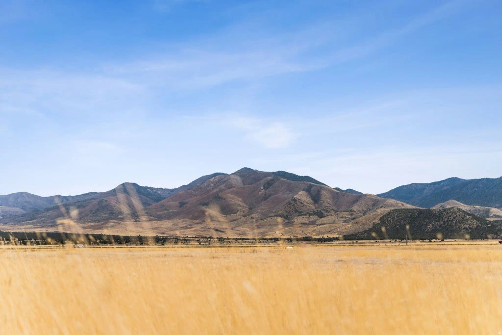 1565 W Sunflower Ln 3, Fillmore