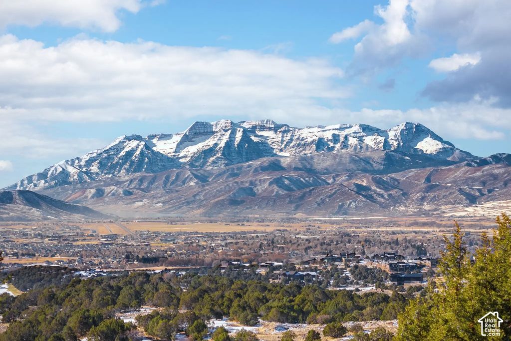 2877 E La Sal Peak Dr 606, Heber City