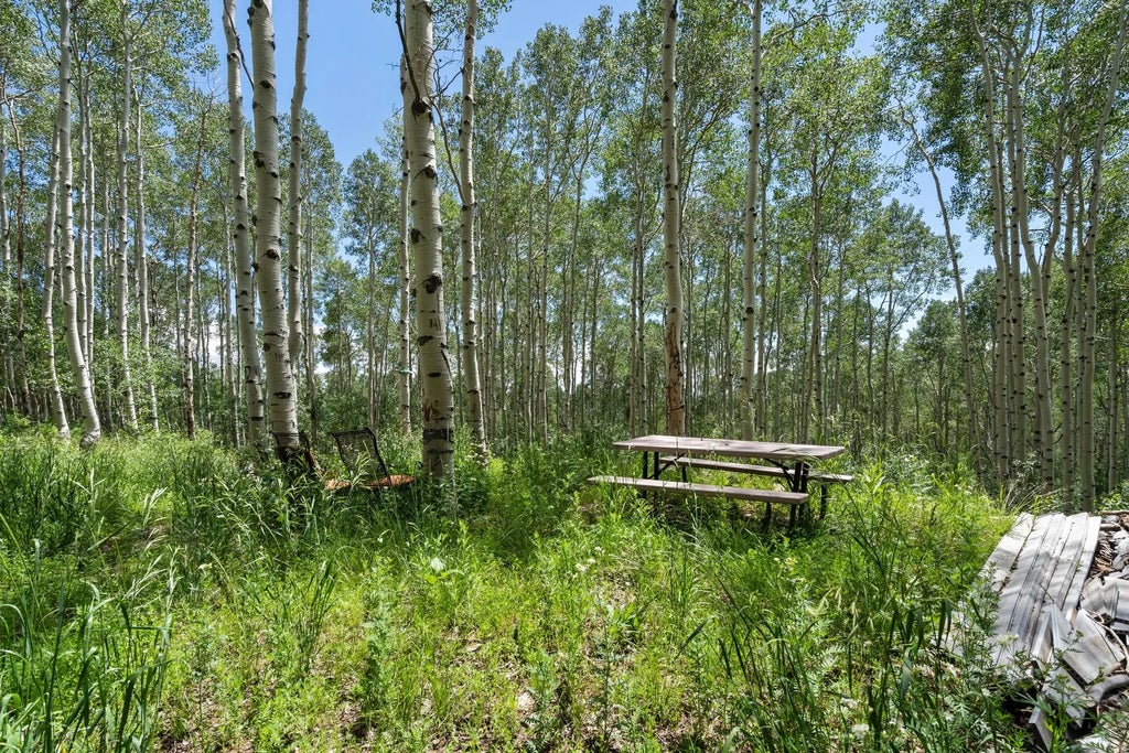 2086 W Bright Star Rd 17, Midway