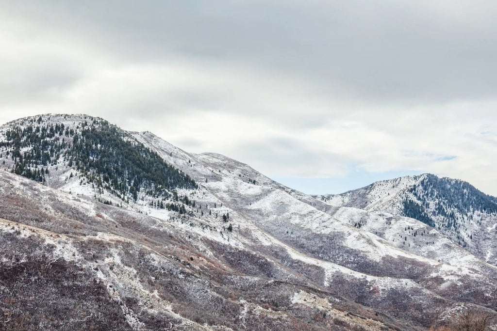 5855 E Pioneer Ridge Cir 195, Salt Lake City