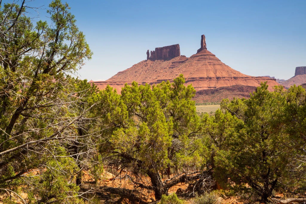 343 Taylor Ln 343, Castle Valley