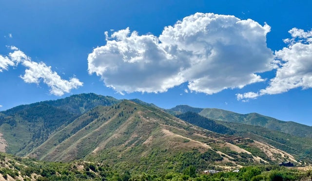 2056 E Maple Hills Ln, Mapleton