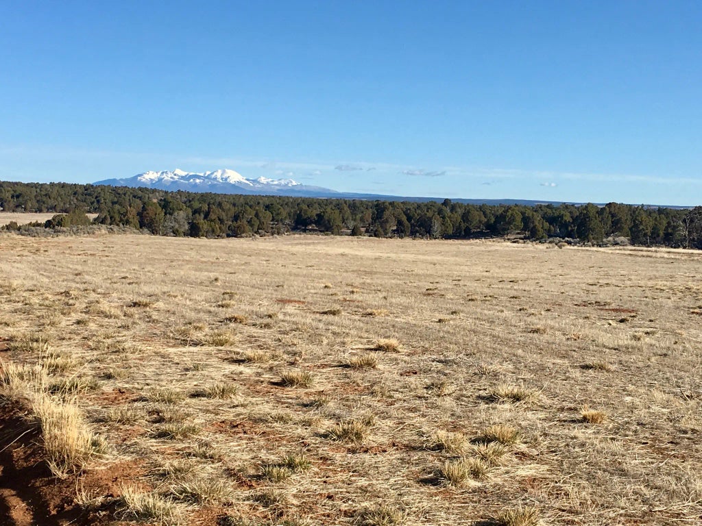 259 N Old Hwy, Monticello