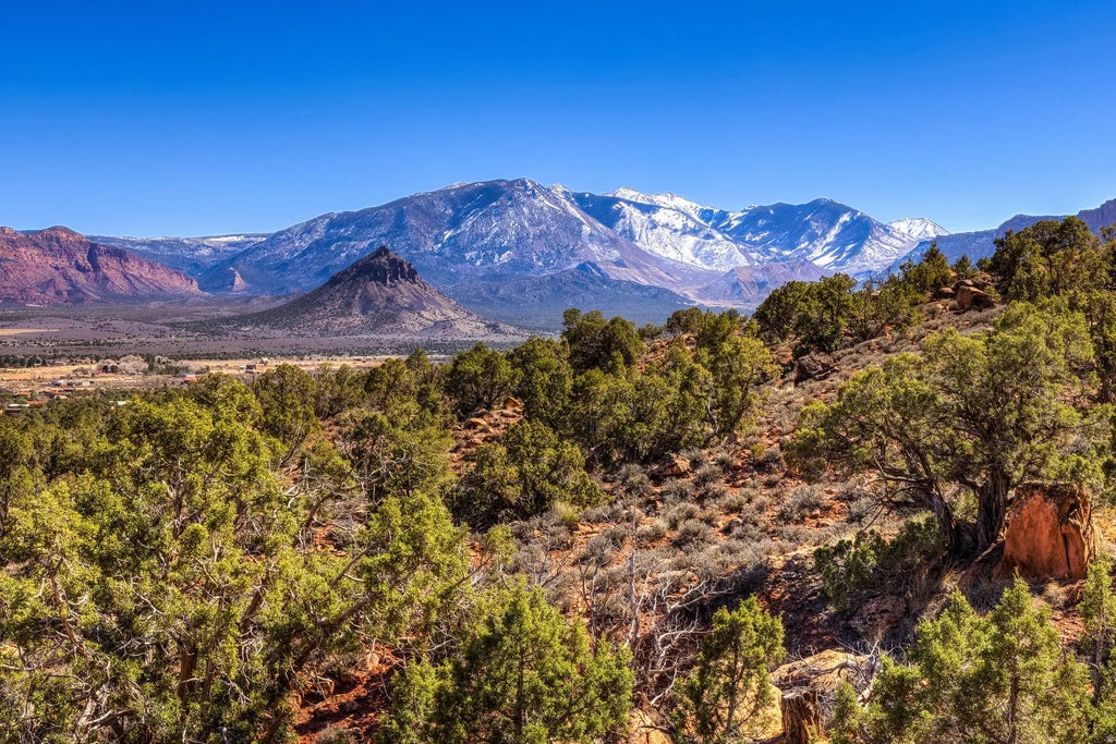 95 Bailey Ln 95, Castle Valley