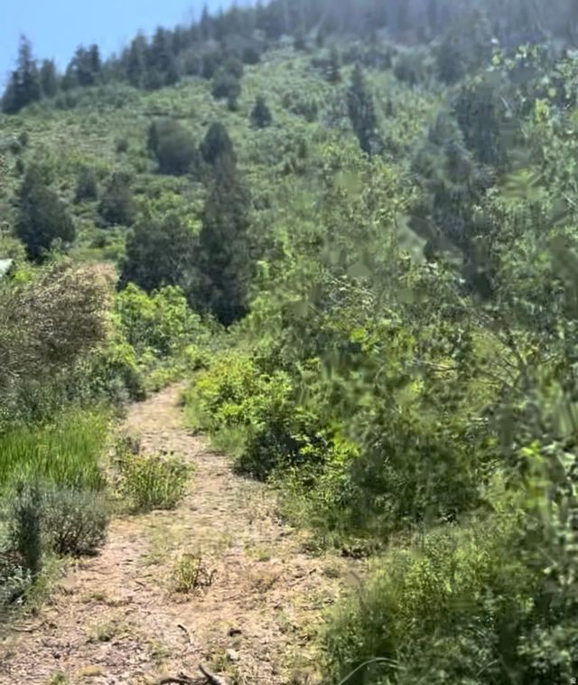 424 Beaver Creek Rd Hls 424, Kamas