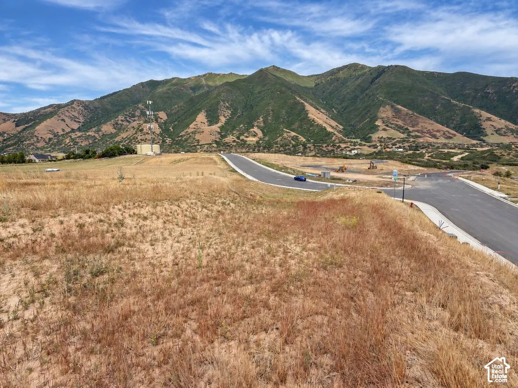 756 W Union Bench Dr S 255, Mapleton
