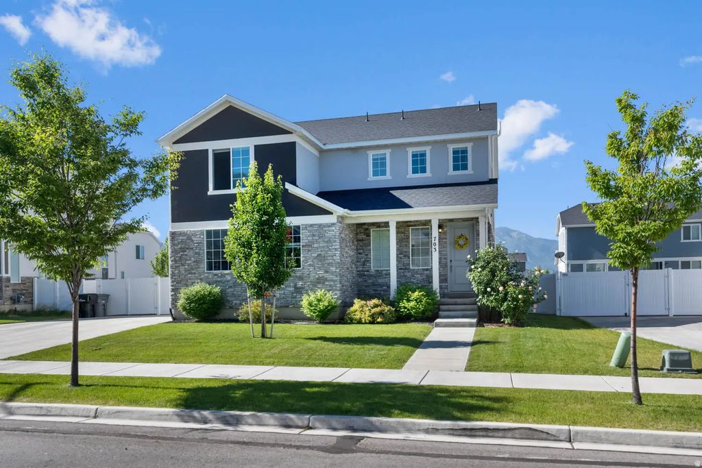 703 W 950 S, Springville