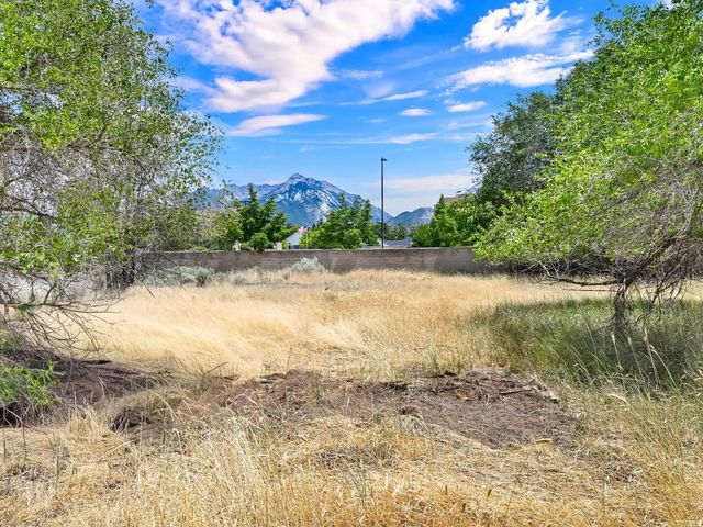 10717 S 1225 E, Sandy