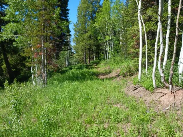 9999 E Baxter Sawmill Rd, Hyrum