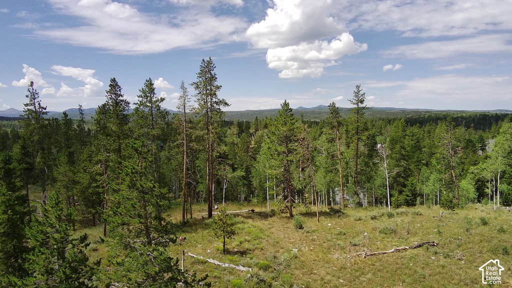 5828 Pineview Rd 922, Kamas