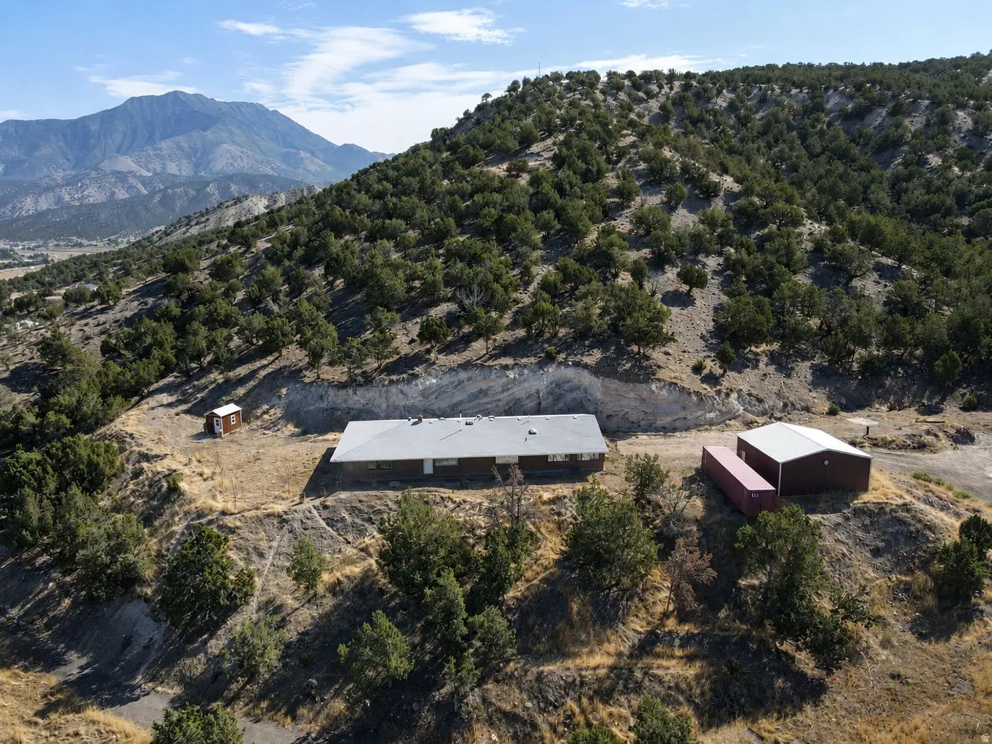 1125 S Sheep Ln, Nephi
