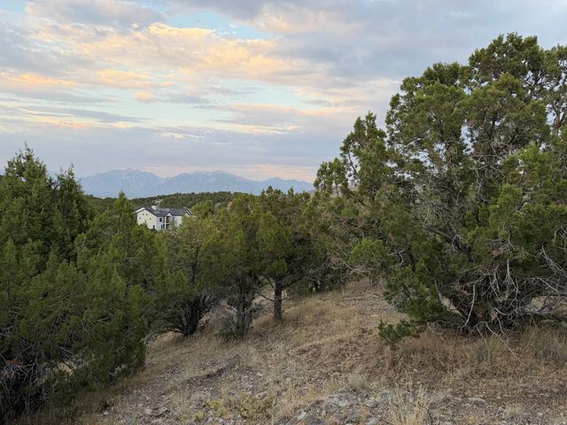 14542 S Shaggy Mountain Rd 2, Herriman