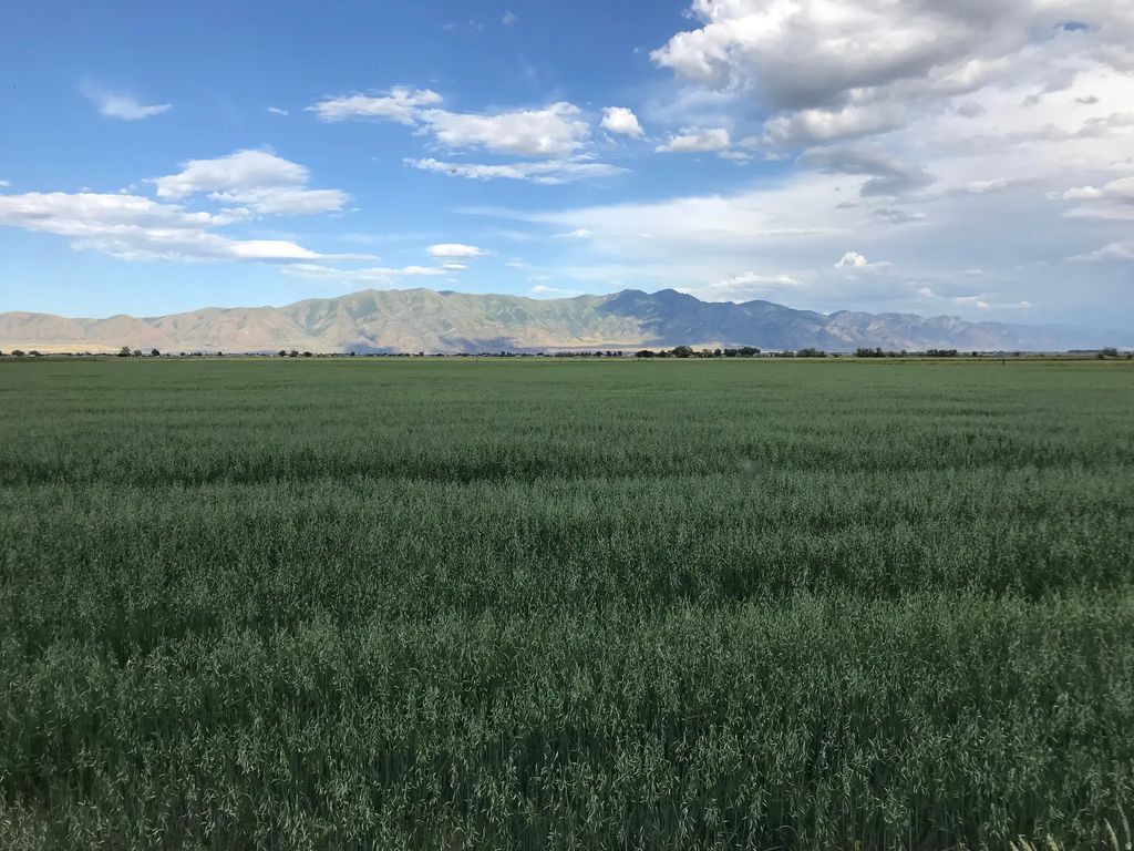 10000 W 10400 N, Bothwell