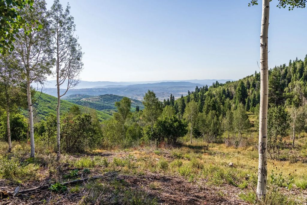 543 Upper Cove Rd 51, Park City