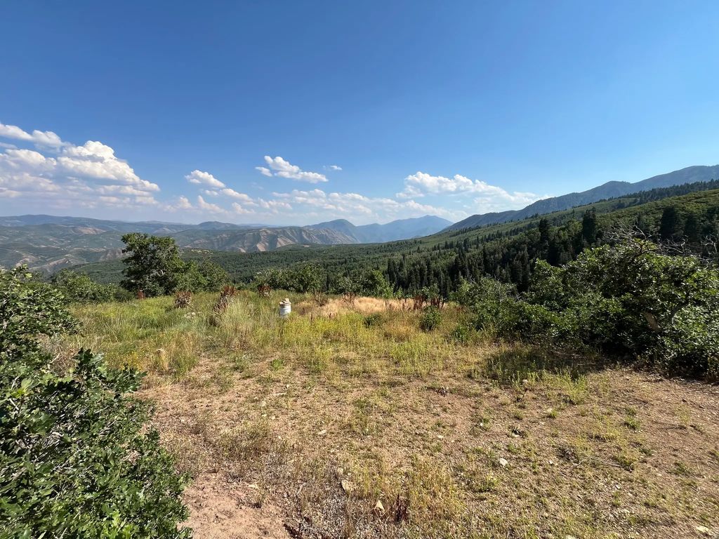 Lot 88, 88, Springville