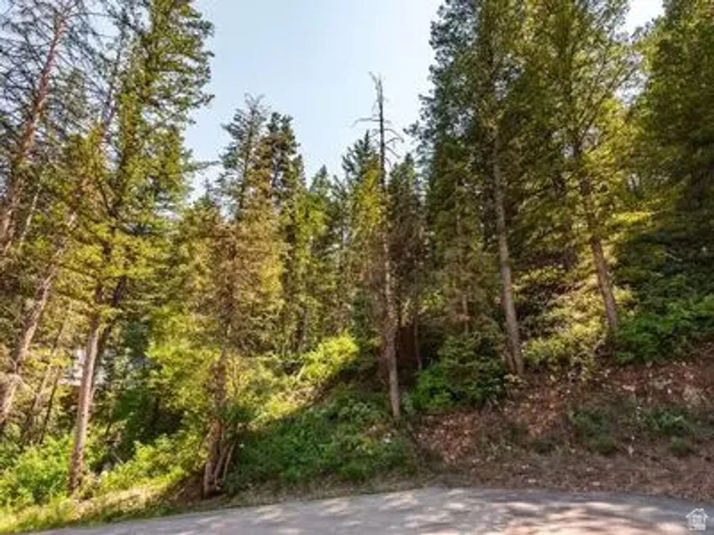 125 Evergreen Cir 99, Park City