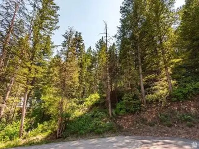 125 Evergreen Cir 99, Park City