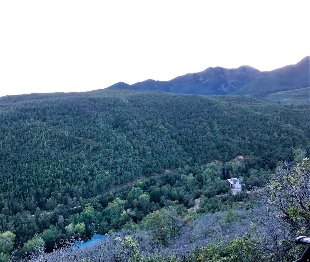 6, Springville