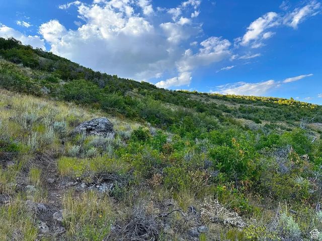 56 Aspen Hollow Rd 56, Woodland