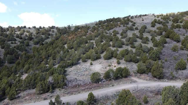 15102 S Shaggy Mountain Rd W, Herriman