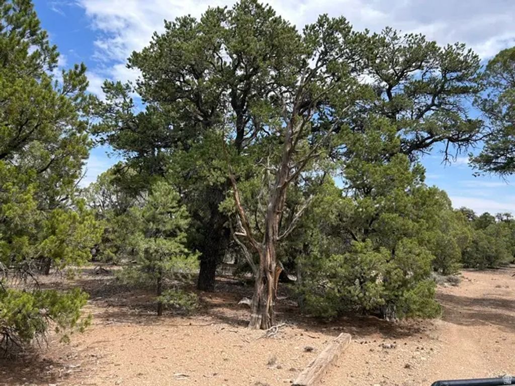 N/A, Fruitland