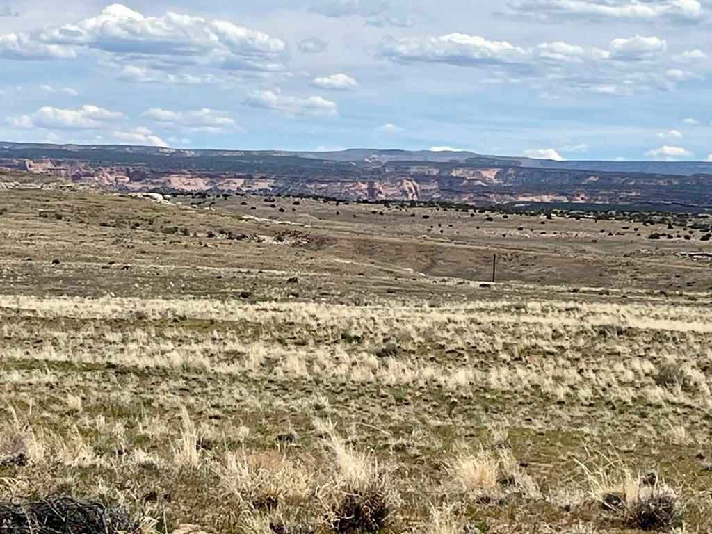 42424 Kokopelli Trl, Cisco