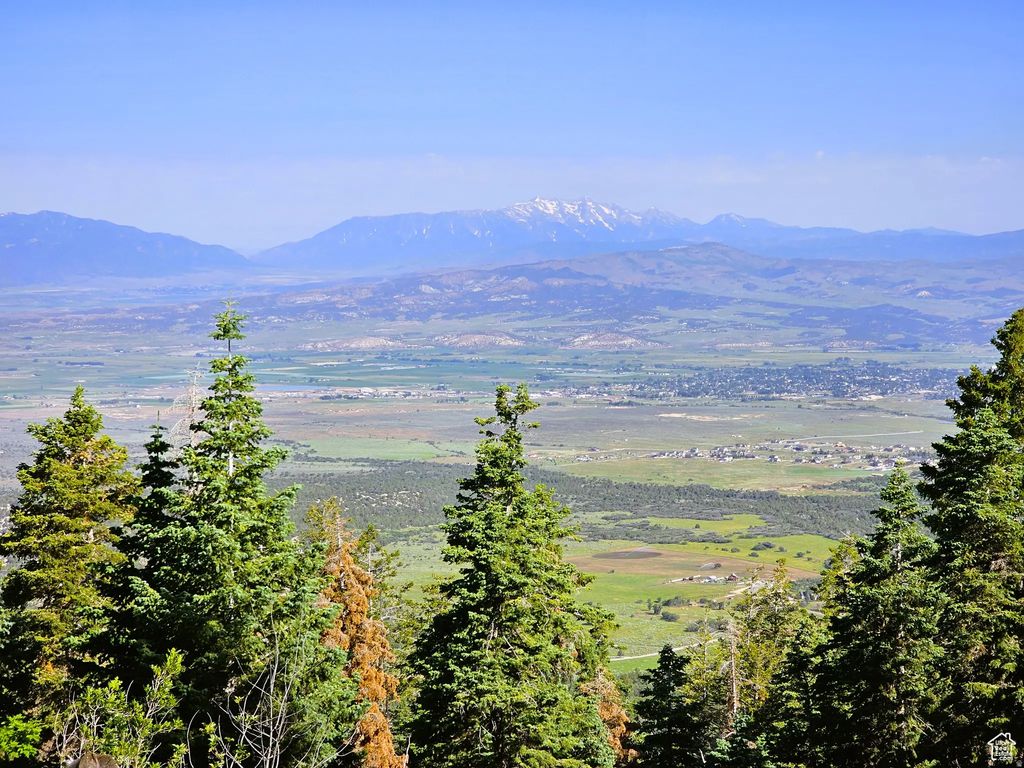 12 Pine Ridge Estates Dr 12, Mt Pleasant
