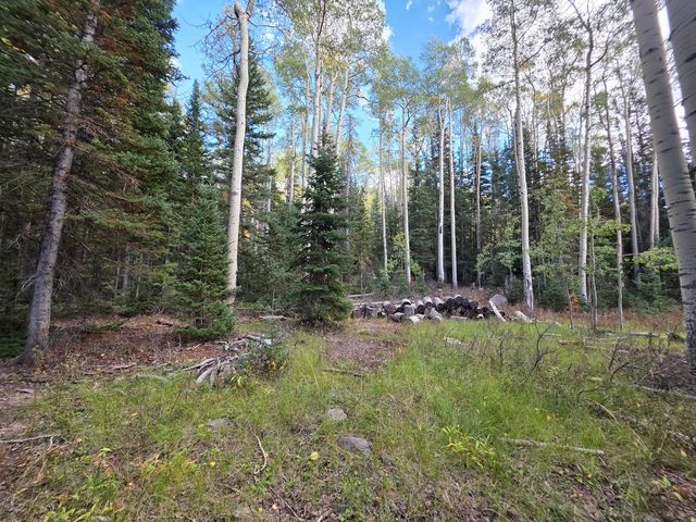 214 E Deer Trail Rd 147, Brian Head