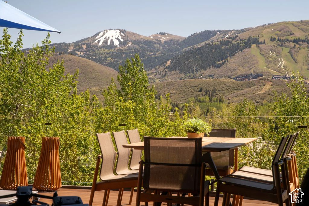 3311 American Saddler Dr, Park City